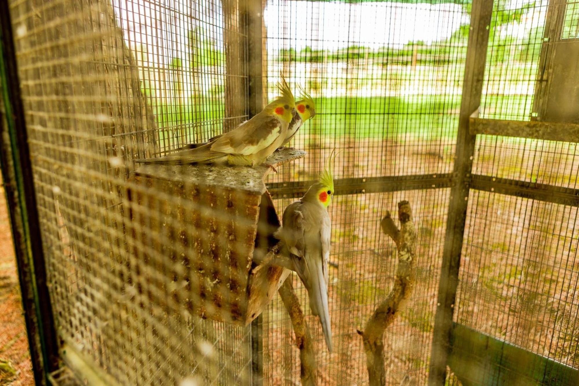 Quinta O Refugio Villa อซามบูจา ภายนอก รูปภาพ