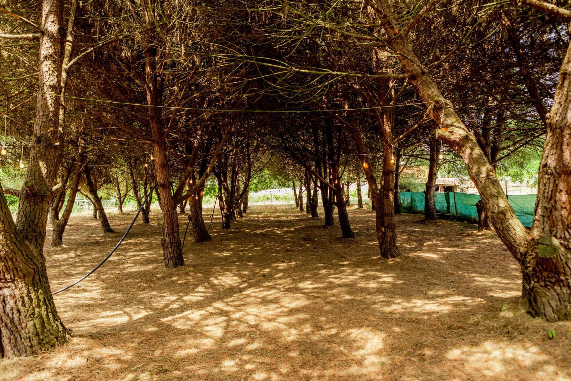 Quinta O Refugio Villa อซามบูจา ภายนอก รูปภาพ
