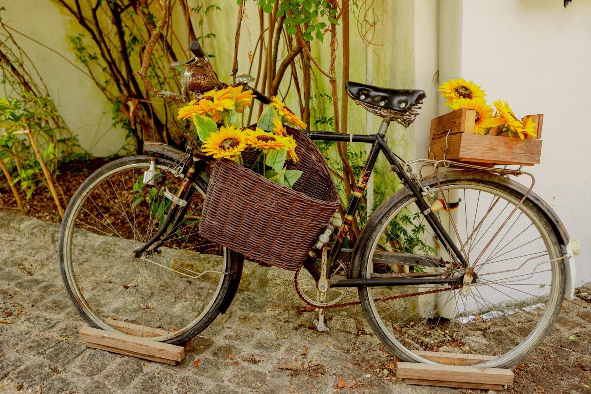 Quinta O Refugio Villa อซามบูจา ภายนอก รูปภาพ