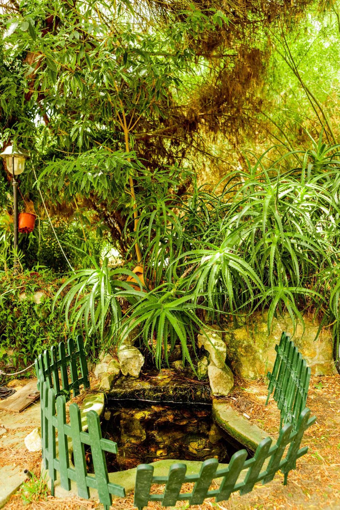 Quinta O Refugio Villa อซามบูจา ภายนอก รูปภาพ