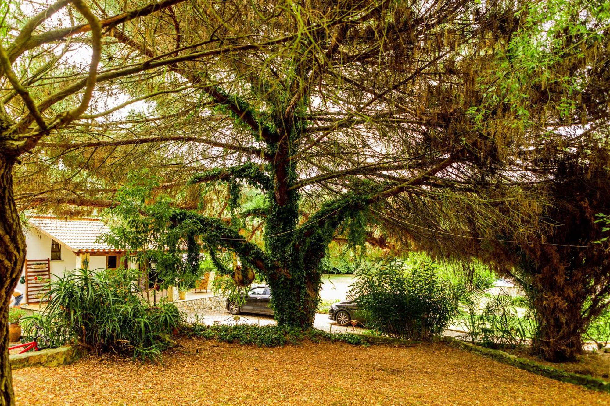 Quinta O Refugio Villa อซามบูจา ภายนอก รูปภาพ